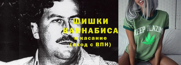 хмурый Бронницы