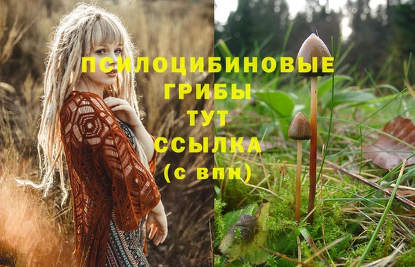 MESCALINE Бугульма