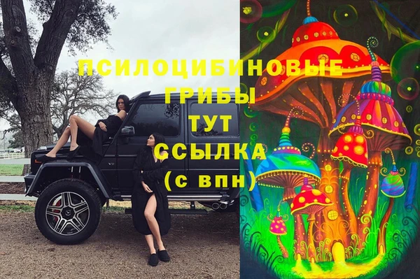 mix Бородино