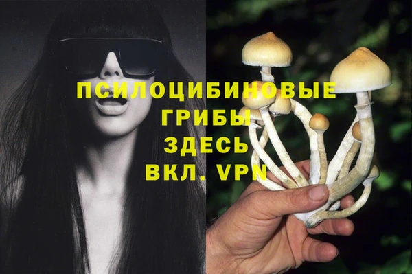 дурь Верхний Тагил