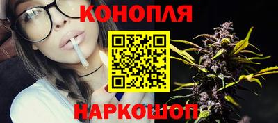 гидра Вышний Волочёк